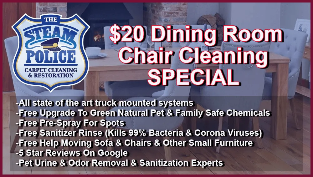 Upholstery Cleaning Services Rochester Ny Steam Police